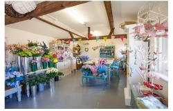 The Petal Boutique