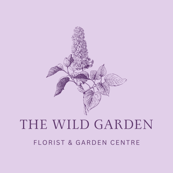 Image of The Wild Garden shop front