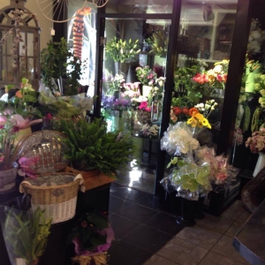 Image of Thistles & Thorns shop front
