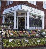 Tomkins Florists // REMOVED