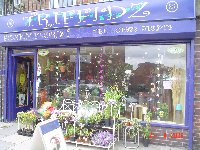 Triffidz Funky Florist // CLOSED DOWN