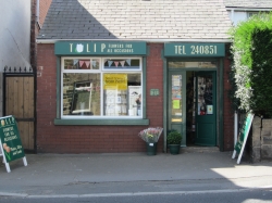 Tulip Florist