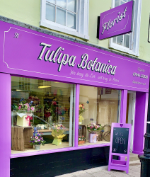 Tulipa Botanica Flowers and Plants