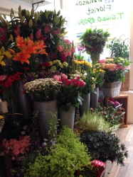 Image of Tulipa Florist shop front