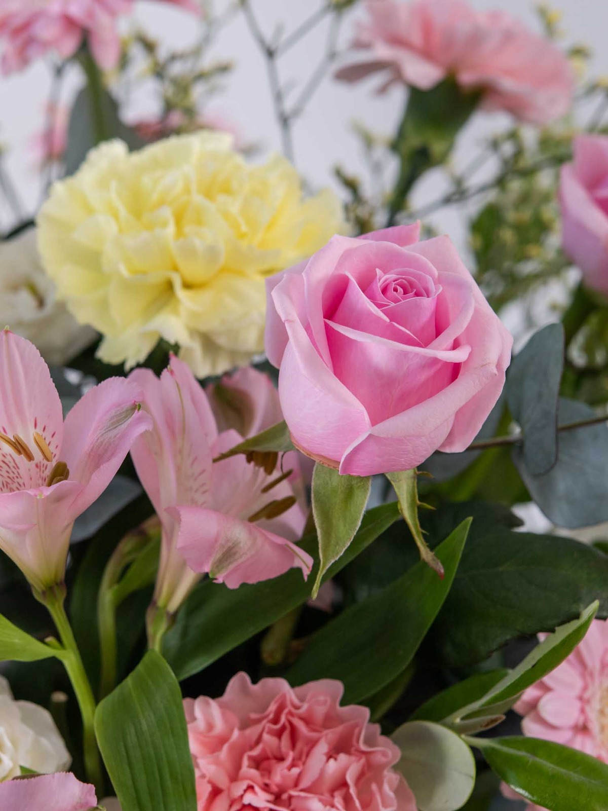 Close-up of pink roses and flowers for wedding congratulations