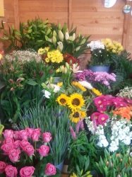 Violet's Florist