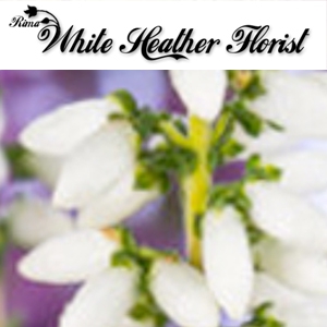 Image of White Heather Florists shop front