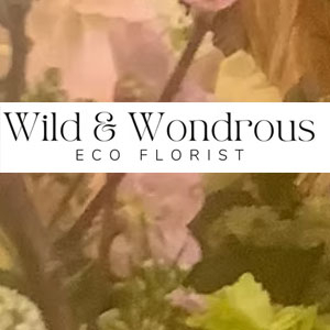 Image of Wild and Wondrous shop front