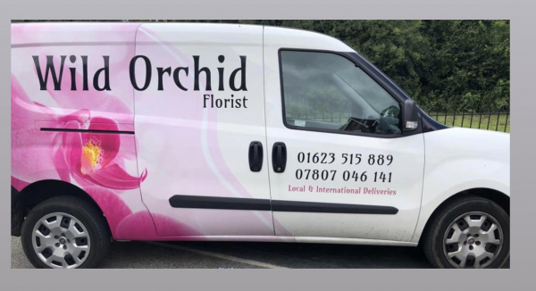 Image of Wild Orchid shop front