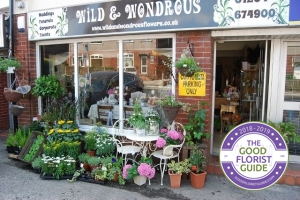 Wild & Wondrous Flowers 