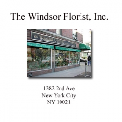 Windsor Florist II