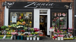 Image of Zinnia  shop front